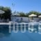 Klonos Anna_travel_packages_in_Piraeus Islands - Trizonia_Aigina_Aigina Rest Areas