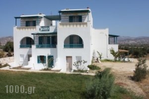 Golden Silence Studios_holidays_in_Hotel_Cyclades Islands_Naxos_Agios Prokopios