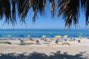 Thomatos Beach Apartments_holidays_in_Apartment_Ionian Islands_Kefalonia_Lourdata