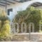 Glyfada View Studios_best prices_in_Hotel_Cyclades Islands_Naxos_Naxos chora