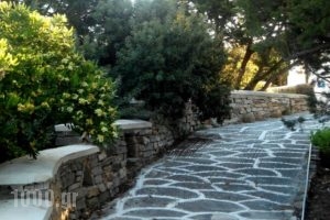 Glyfada View Studios_best deals_Hotel_Cyclades Islands_Naxos_Naxos chora