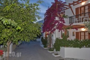 Marisa Rooms_accommodation_in_Room_Cyclades Islands_Paros_Paros Chora