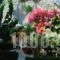 Glyka Apartments_holidays_in_Apartment_Central Greece_Aetoloakarnania_Kryoneri