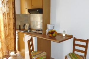 Paligremnos Studios_best deals_Hotel_Crete_Rethymnon_Plakias