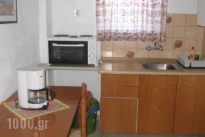 Maik Apartments_best prices_in_Apartment_Macedonia_Halkidiki_Poligyros