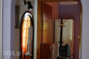 Glyka Apartments_accommodation_in_Apartment_Central Greece_Aetoloakarnania_Kryoneri
