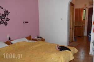 Rodis Studios_holidays_in_Apartment_Piraeus Islands - Trizonia_Poros_Poros Rest Areas