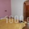 Rodis Studios_holidays_in_Apartment_Piraeus Islands - Trizonia_Poros_Poros Rest Areas