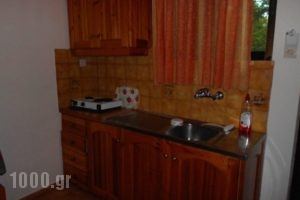Rodis Studios_best deals_Apartment_Piraeus Islands - Trizonia_Poros_Poros Rest Areas