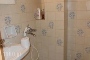 Rodis Studios_best prices_in_Apartment_Piraeus Islands - Trizonia_Poros_Poros Rest Areas