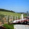 Paradise_accommodation_in_Hotel_Central Greece_Attica_Oropos