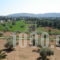 Paradise_lowest prices_in_Hotel_Central Greece_Attica_Oropos