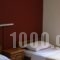 Tempi Hotel_best prices_in_Hotel_Central Greece_Attica_Athens