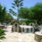 Zanneta Studios_best prices_in_Apartment_Cyclades Islands_Naxos_Mikri Vigla