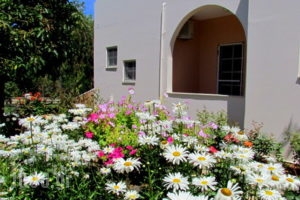 Cathrin Apts & Studios_holidays_in_Apartment_Crete_Chania_Gerani