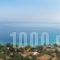 Ionis Studios_best prices_in_Apartment_Ionian Islands_Lefkada_Lefkada Chora