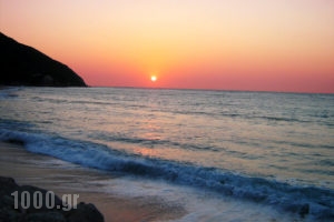 Ionis Studios_lowest prices_in_Apartment_Ionian Islands_Lefkada_Lefkada Chora