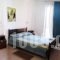 Ionis Studios_accommodation_in_Apartment_Ionian Islands_Lefkada_Lefkada Chora