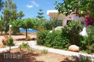 Fragokastello Star_accommodation_in_Hotel_Crete_Chania_Fragokastello