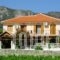 Angela Apartments_travel_packages_in_Aegean Islands_Samos_Kokkari