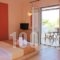 Anatoli Studios_holidays_in_Room_Ionian Islands_Lefkada_Lefkada Rest Areas