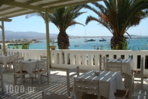Dimitra_best deals_Apartment_Cyclades Islands_Antiparos_Antiparos Rest Areas
