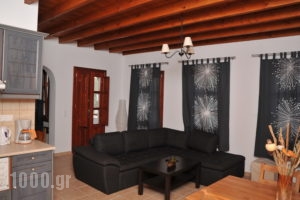 Iliolousto Studios_holidays_in_Room_Dodekanessos Islands_Patmos_Skala