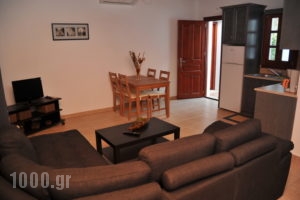 Iliolousto Studios_best prices_in_Room_Dodekanessos Islands_Patmos_Skala