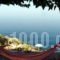 Asteria & Ilios_lowest prices_in_Room_Peloponesse_Messinia_Stoupa