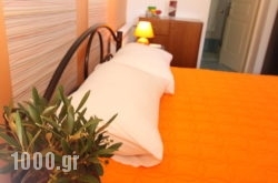 Angeliki Apartments in Gaios, Paxi, Ionian Islands