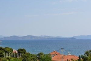 Miami Hotel_holidays_in_Hotel_Piraeus islands - Trizonia_Aigina_Marathonas