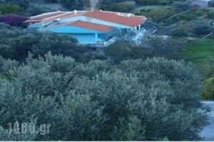 Villa Xenia_accommodation_in_Villa_Aegean Islands_Samos_Samos Chora