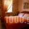 Arhodiko Prepala_best prices_in_Room_Thessaly_Magnesia_Neochori
