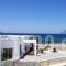 Viglia Beach Apartments_best prices_in_Apartment_Crete_Chania_Kissamos