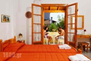 Harris Apartments_holidays_in_Apartment_Ionian Islands_Corfu_Acharavi