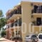 Bayside Apartments_best deals_Apartment_Ionian Islands_Lefkada_Vasiliki