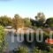 Kakovatos Studios_holidays_in_Apartment_Peloponesse_Ilia_Zacharo