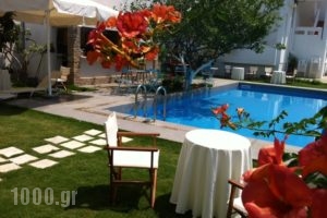 Tree Of Life_best prices_in_Apartment_Crete_Chania_Agia Marina