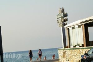 Kormoranos Beach_accommodation_in_Hotel_Ionian Islands_Corfu_Acharavi