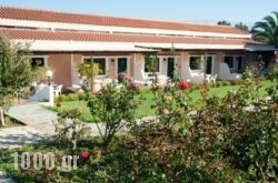 Androulakis Apartments in Zakinthos Rest Areas, Zakinthos, Ionian Islands