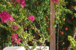 Androulakis Apartments_best deals_Apartment_Crete_Chania_Platanias