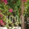 Androulakis Apartments_best deals_Apartment_Crete_Chania_Platanias