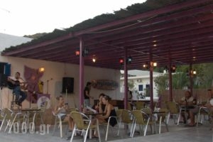 Purple Pig Stars Camping & Bungalows_best deals_Hotel_Cyclades Islands_Ios_Ios Chora