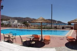 Purple Pig Stars Camping & Bungalows_lowest prices_in_Hotel_Cyclades Islands_Ios_Ios Chora