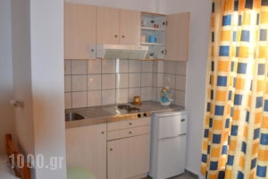 Artemis Pension_holidays_in_Hotel_Cyclades Islands_Ios_Ios Chora