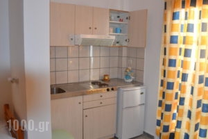 Artemis Pension_holidays_in_Hotel_Cyclades Islands_Ios_Ios Chora