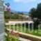 Ostria Studios_travel_packages_in_Cyclades Islands_Andros_Gavrio