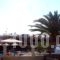 Phillis_travel_packages_in_Macedonia_Halkidiki_Sarti