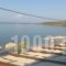 9 Musses Studios_accommodation_in_Hotel_Aegean Islands_Lesvos_Polihnit's