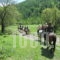 To Archontiko Traditional Guest House Villa_travel_packages_in_Thraki_Xanthi_Stavroupoli